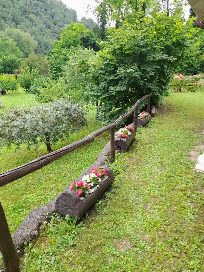 Casa Vacanze Alloro Mangia Bagian luar foto