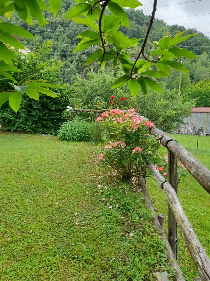 Casa Vacanze Alloro Mangia Bagian luar foto